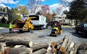  Abbotsford, WI Tree Care Pros